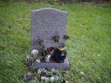 image of grave number 807885